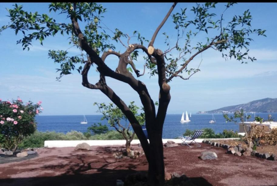 Villa Insolia Santa Marina Salina Pokoj fotografie
